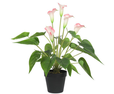 ARTIFICIAL 50CM PINK PEACE LILY